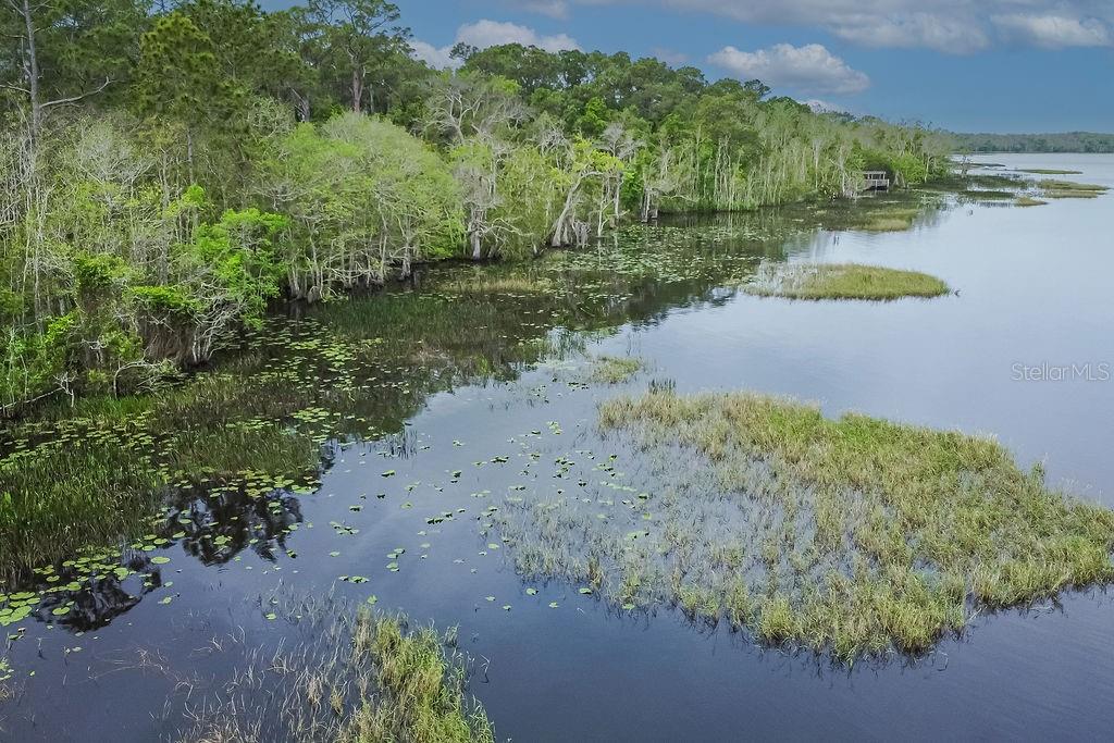 Image 76 of 98 For 7508 Wing Span Way