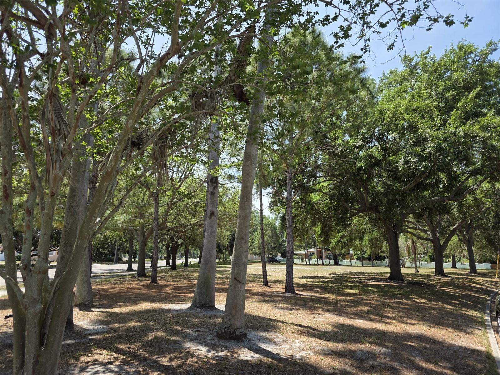 Image 23 of 55 For 5210 Dr Martin Luther King Jr St N Street