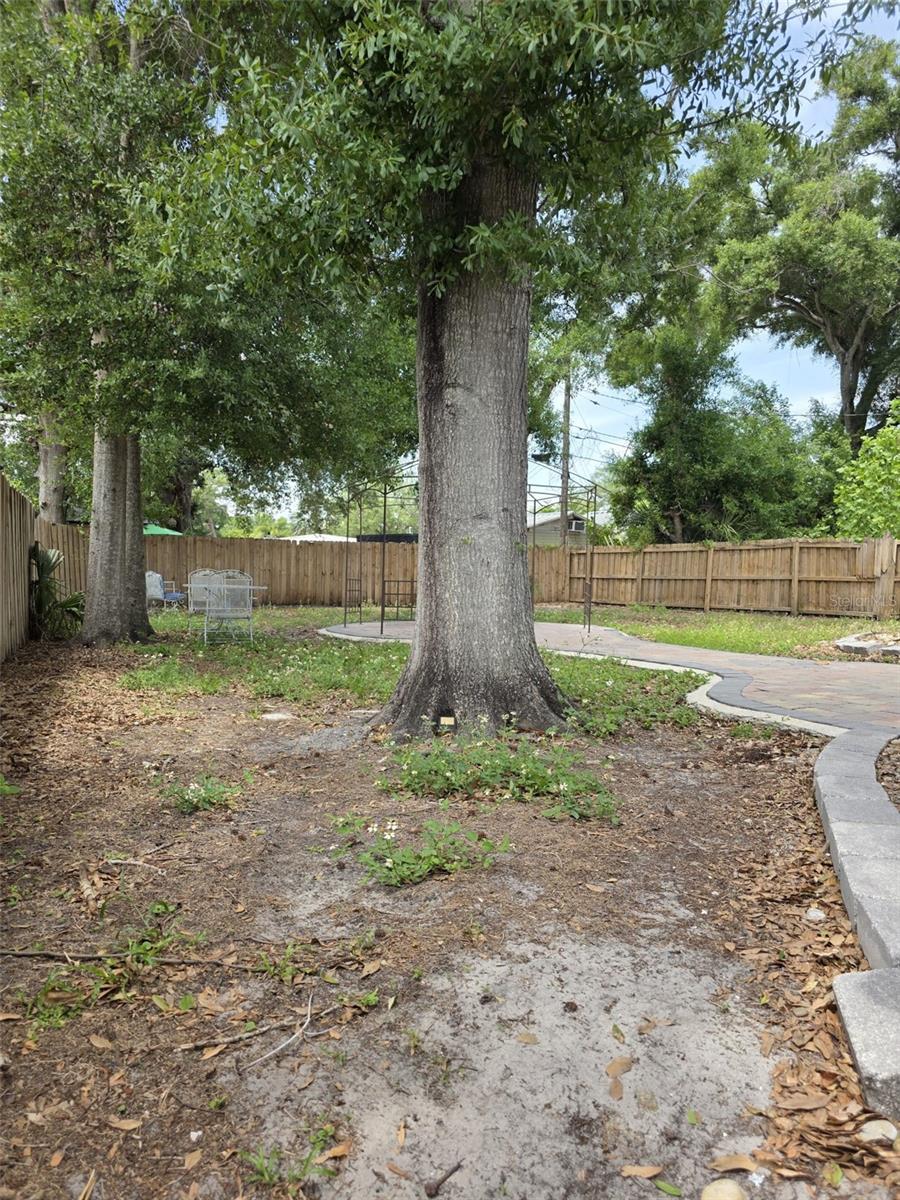 Image 38 of 55 For 5210 Dr Martin Luther King Jr St N Street