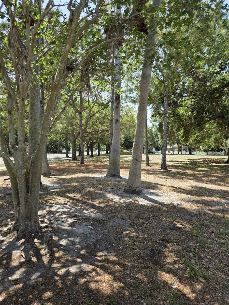 Image 41 of 55 For 5210 Dr Martin Luther King Jr St N Street