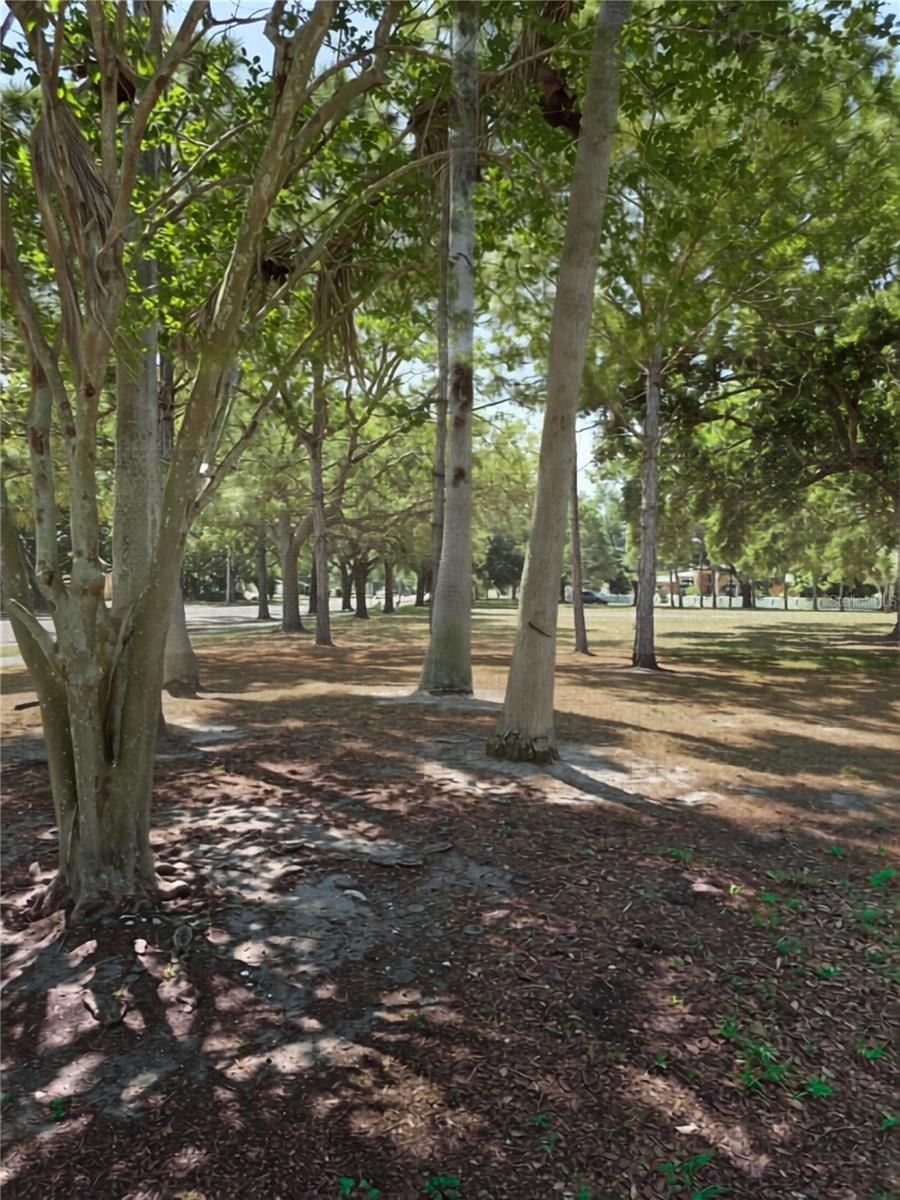 Image 55 of 55 For 5210 Dr Martin Luther King Jr St N Street