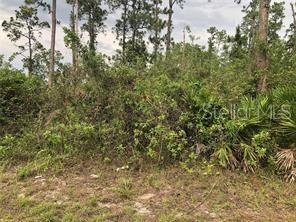 Listing Details for 19619 242nd Street, OKEECHOBEE, FL 34972