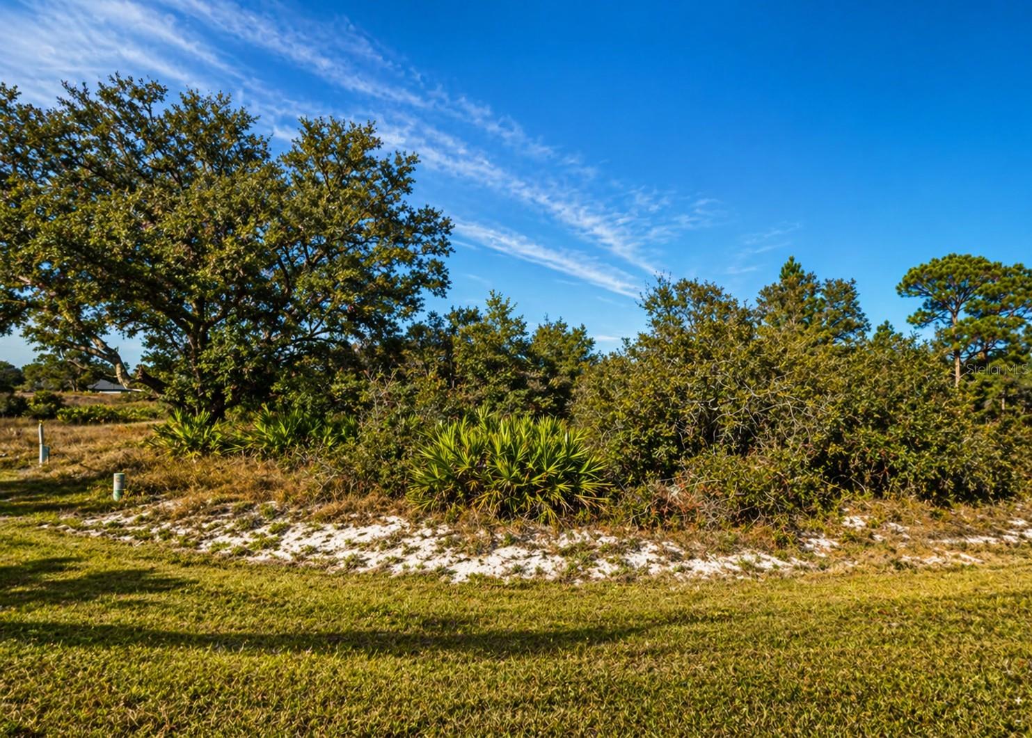 Details for 320 Bowfin Drive, KISSIMMEE, FL 34759