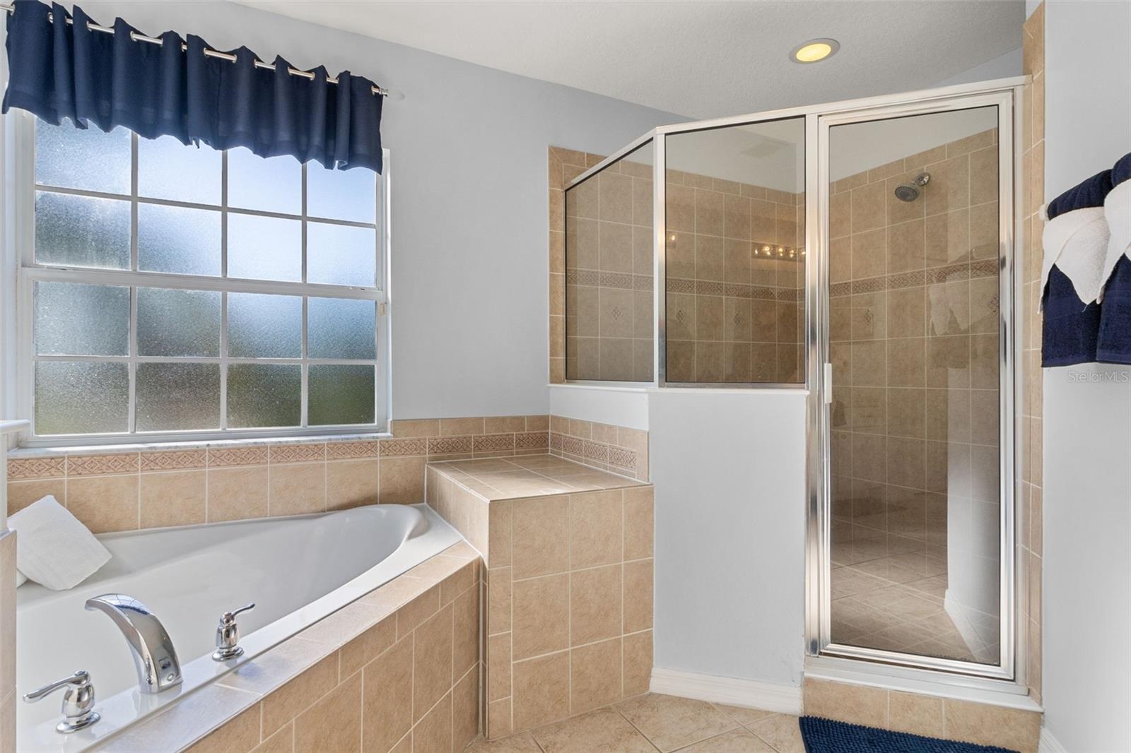 Image 35 of 98 For 986 Orange Cosmos Boulevard