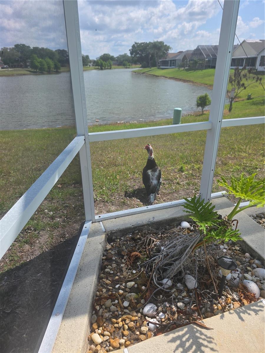 Image 22 of 36 For 2309 Anhinga Drive