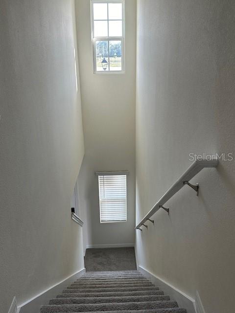 Image 6 of 15 For 2807 Brie Hammock Bend