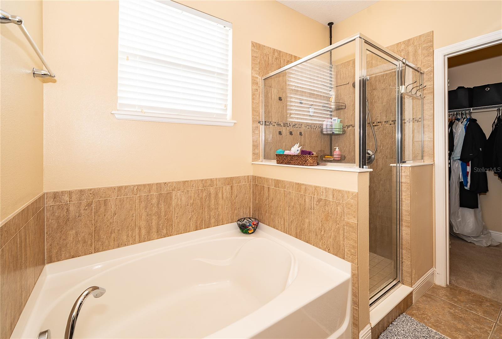 Image 21 of 35 For 2521 Marshfield Preserve Way