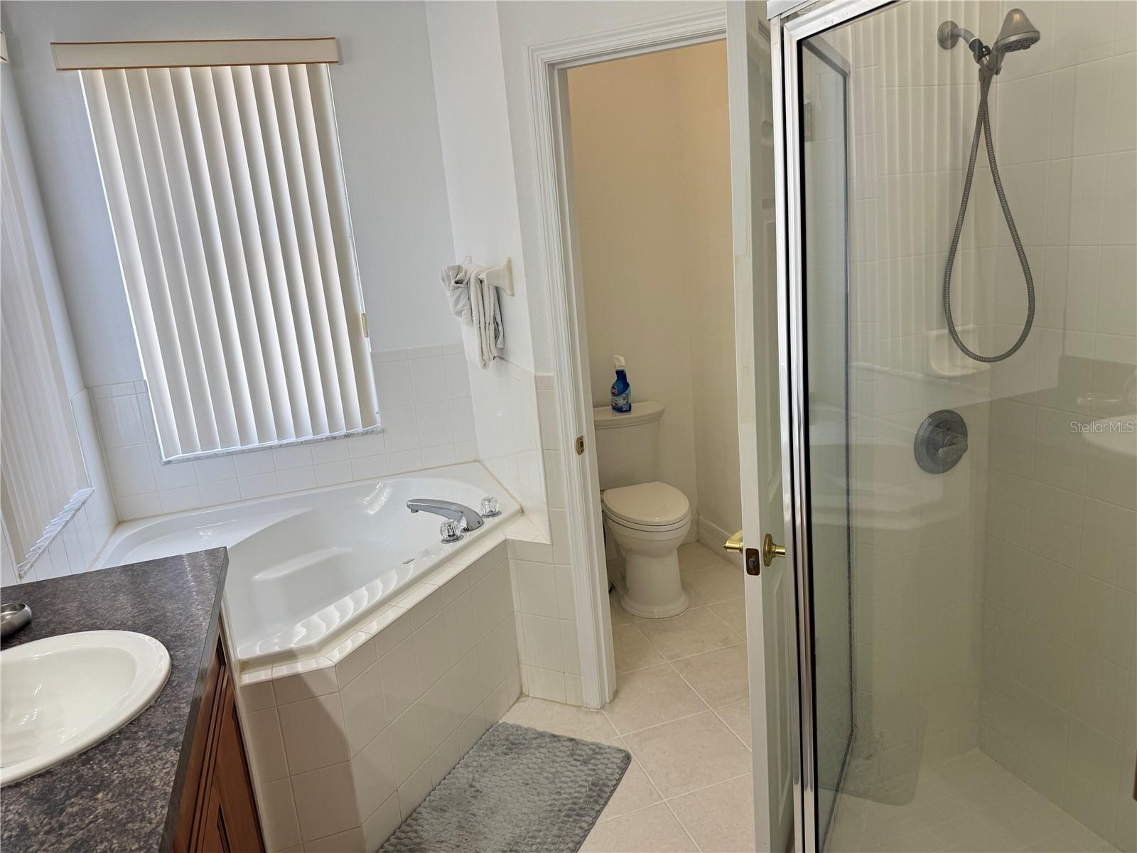 Image 17 of 24 For 1040 Orista Drive