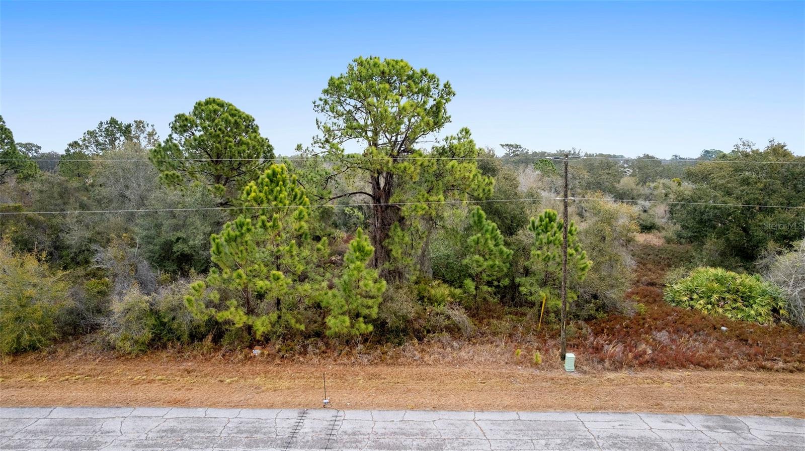 Details for 1519 Mediterranean Drive, POINCIANA, FL 34759