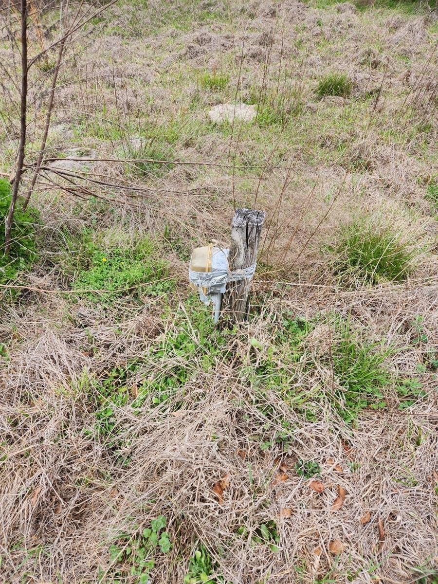 Image 8 of 8 For 16295 95th Trail