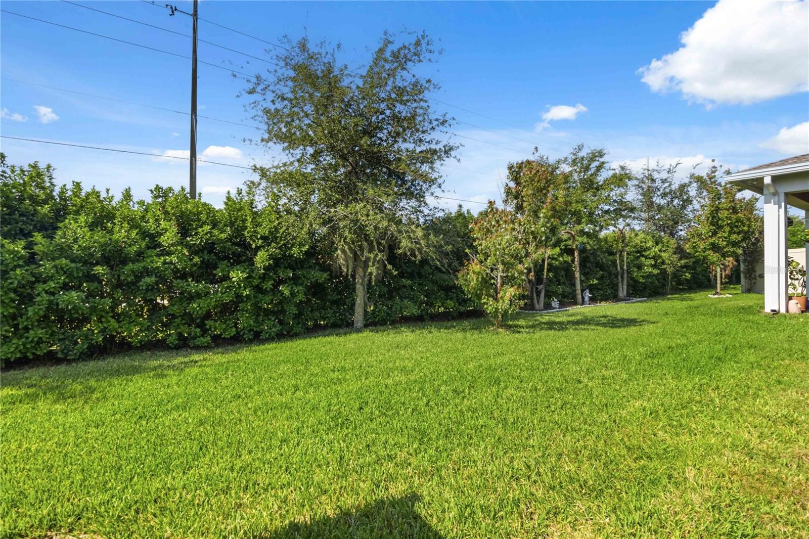 Listing photo id 39 for 2305 Datura Loop