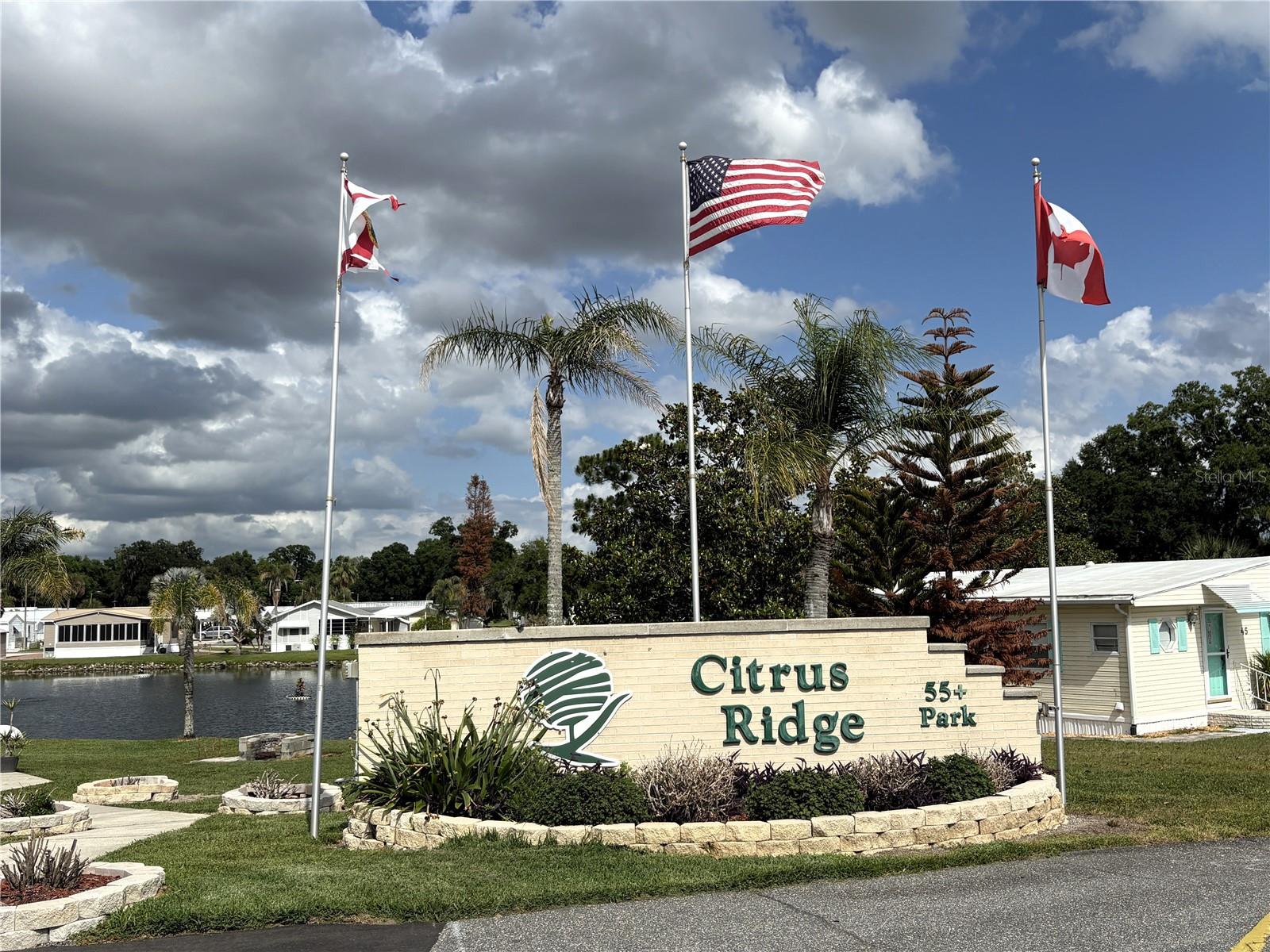 Image 15 of 15 For 446 Citrus Ridge
