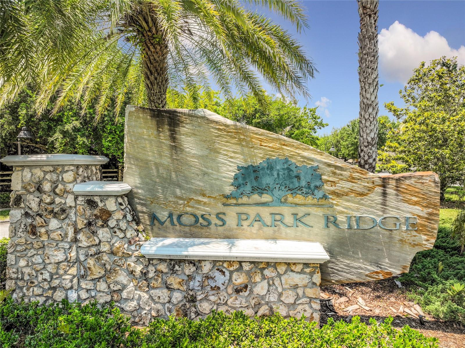 Image 97 of 99 For 12703 Moss Park Ridge Drive
