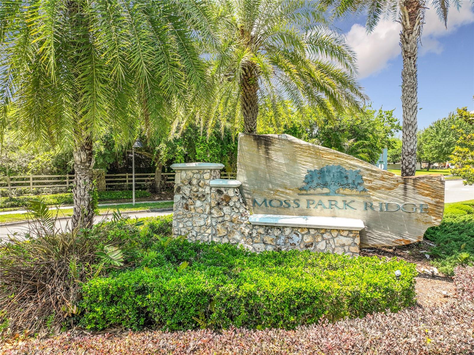 Image 98 of 99 For 12703 Moss Park Ridge Drive