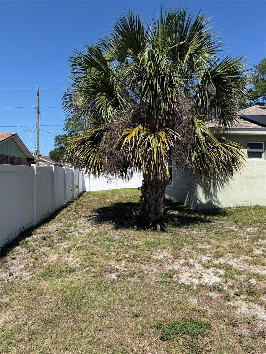 Listing photo id 27 for 313 Oak Street