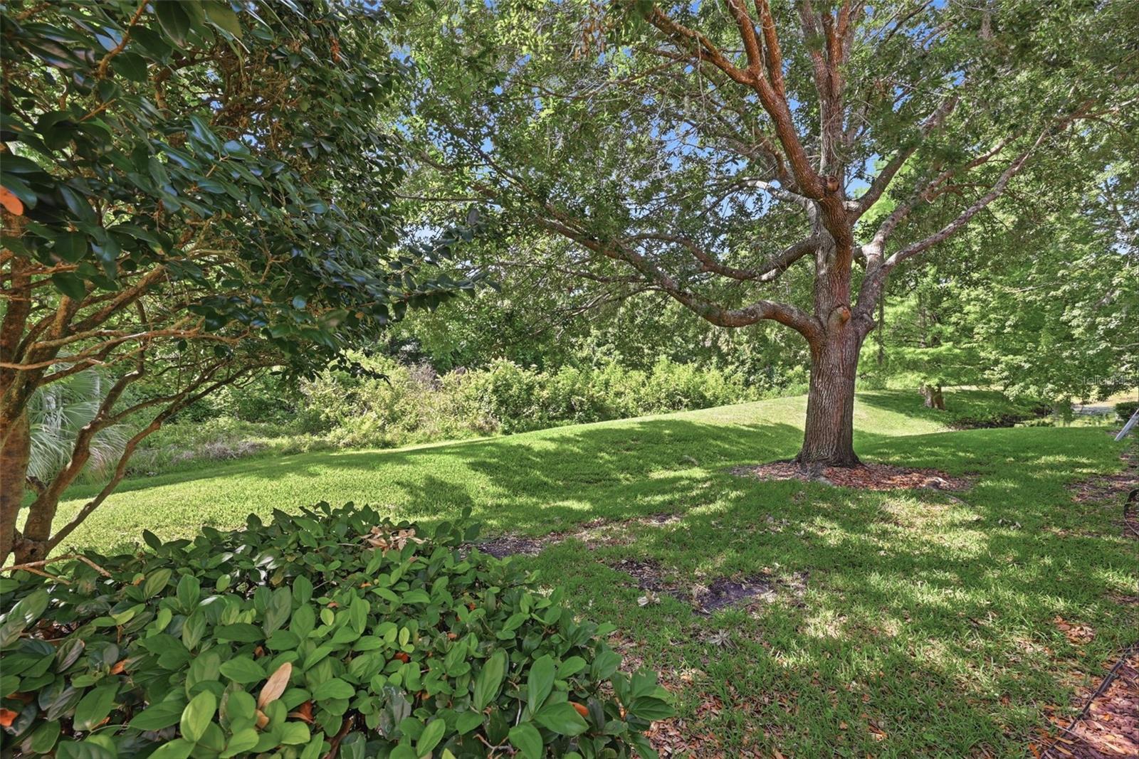 Image 46 of 50 For 8334 Riverdale Lane 10320