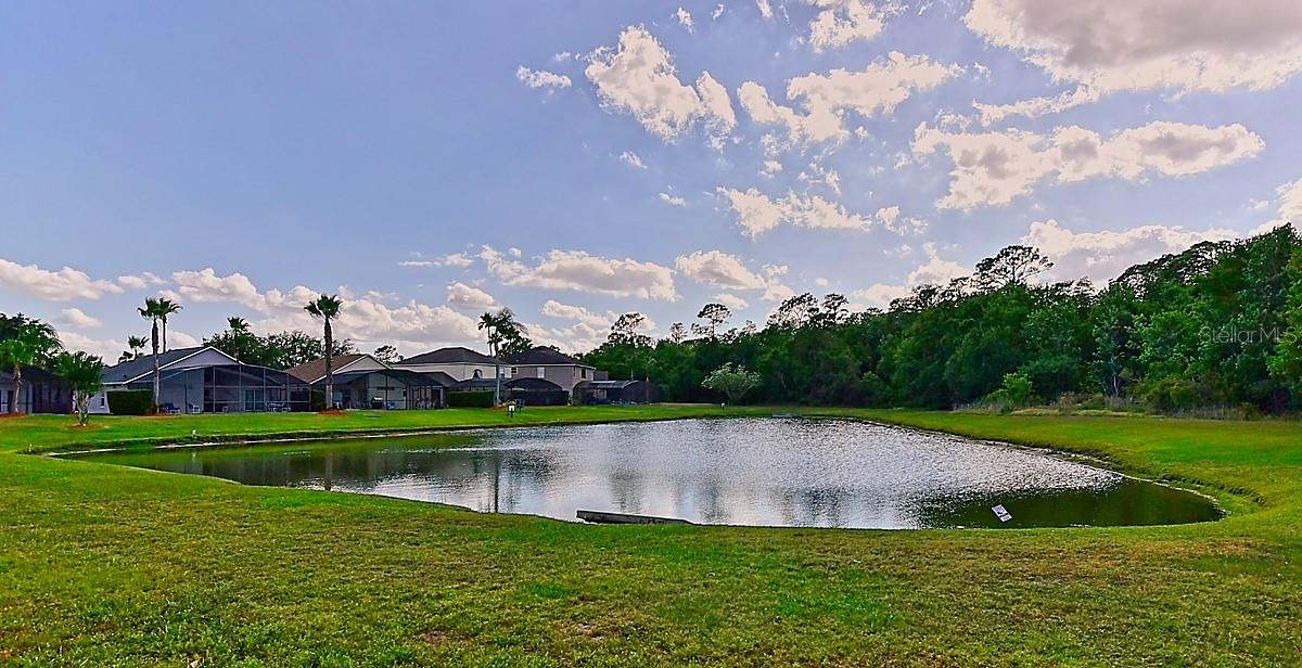 Image 42 of 49 For 1043 Park Ridge Circle