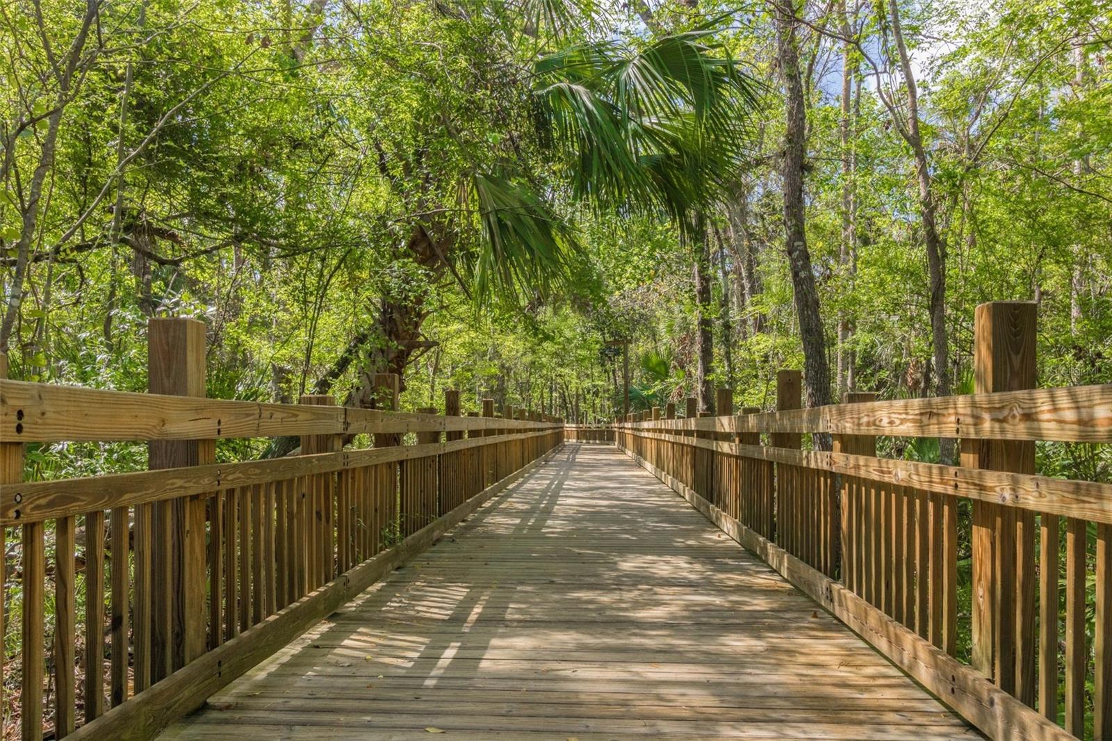 Image 41 of 45 For 501 Mirasol Circle 215