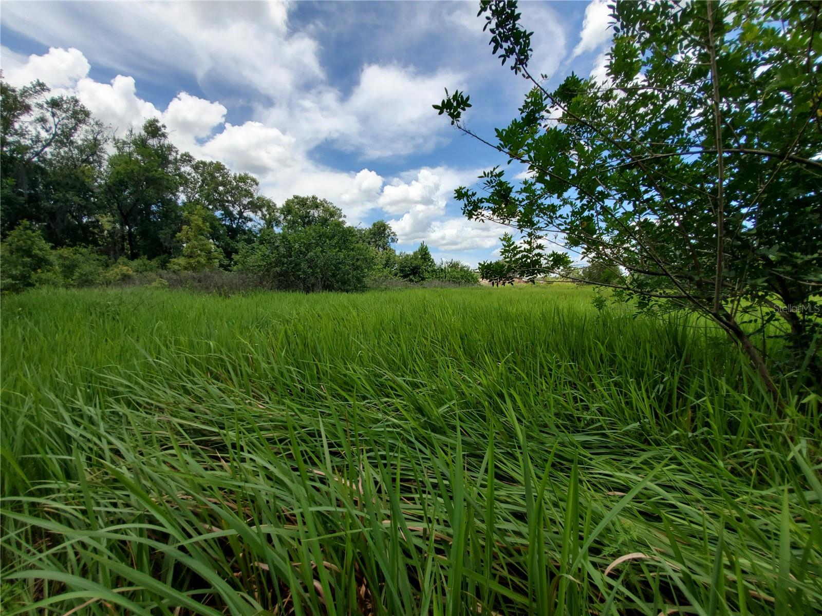 Image 16 of 16 For Woodland Avenue