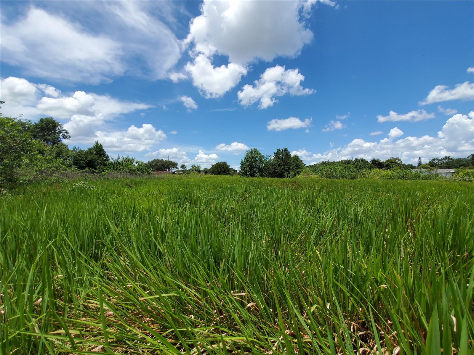 Image 8 of 16 For Woodland Avenue