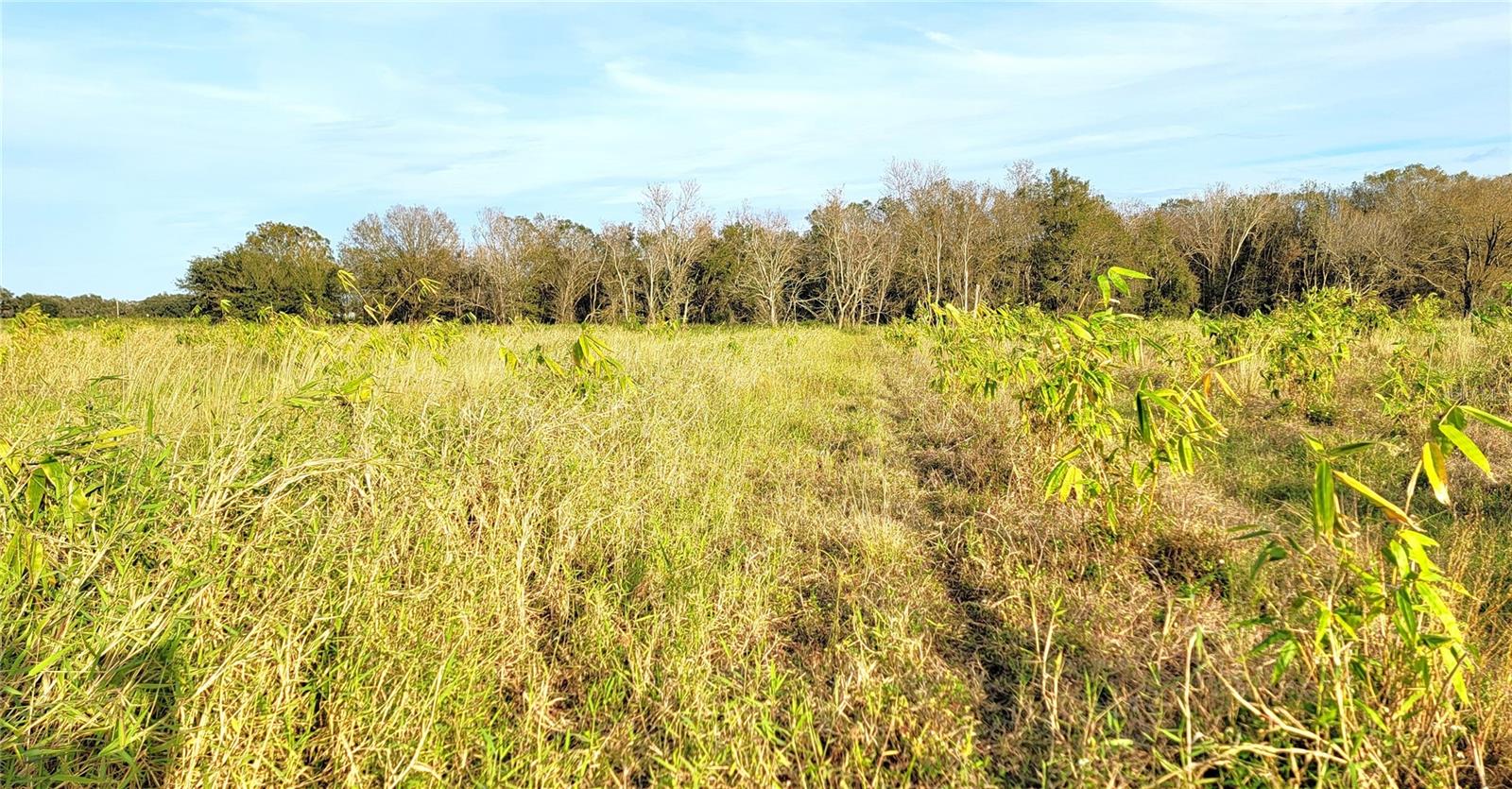 Image 18 of 19 For 0 Mineral Branch Road