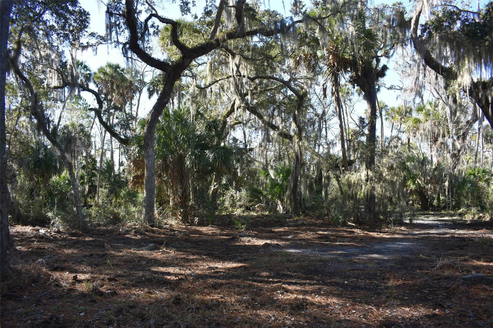 Image 13 of 17 For 10825 Fort Island Trail