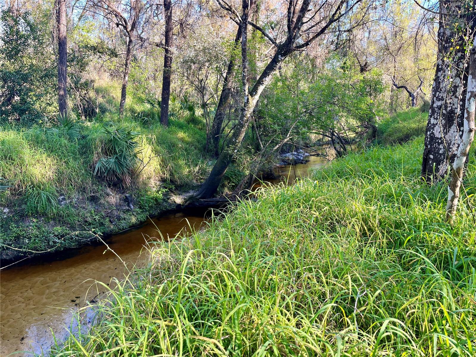 Image 9 of 15 For  Dansby Road 