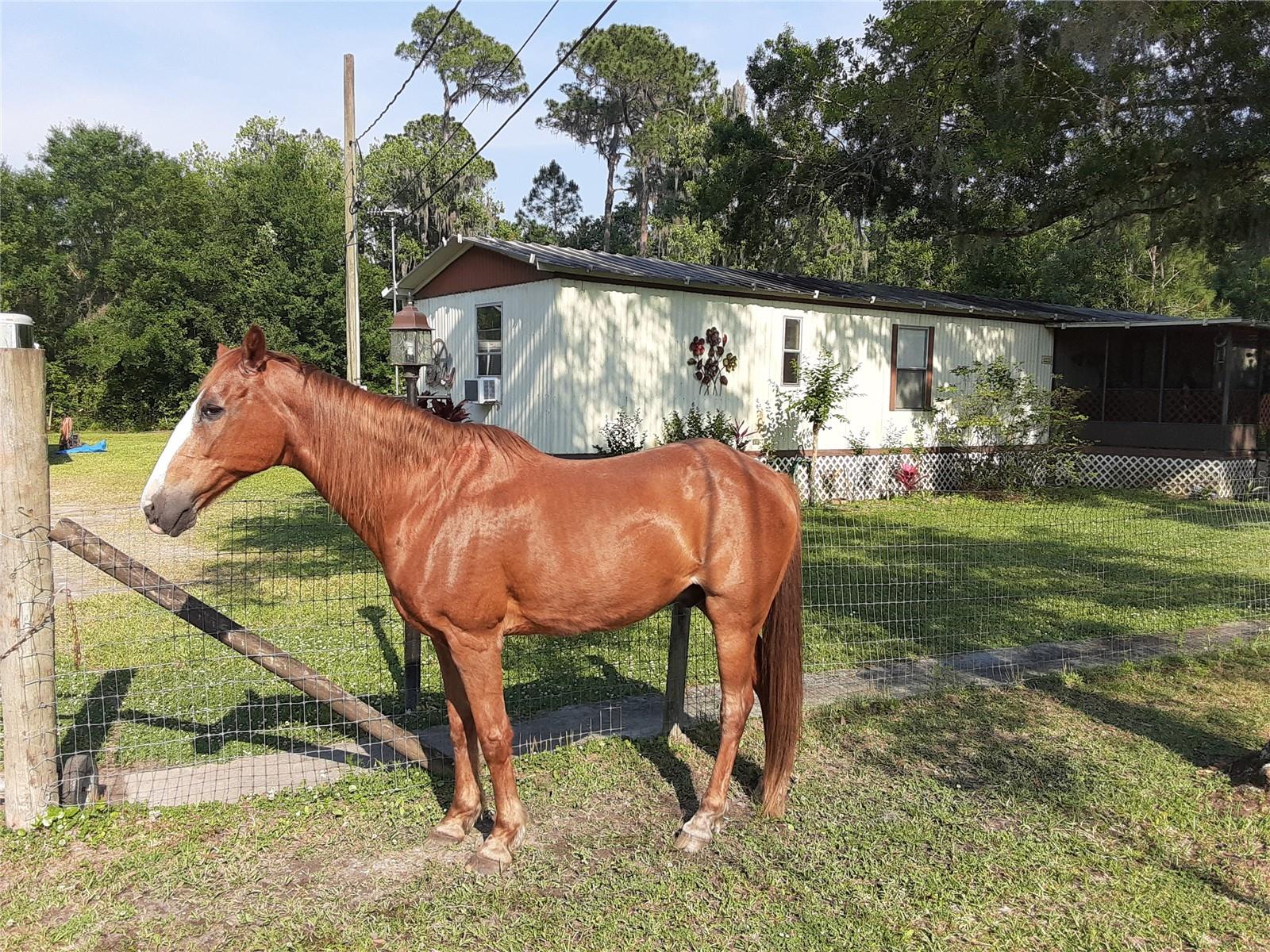 Details for 8333 Kathleen Road, LAKELAND, FL 33810