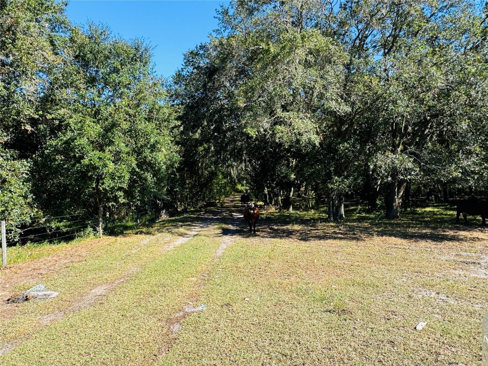 Image 17 of 30 For 5525 Sparta Road