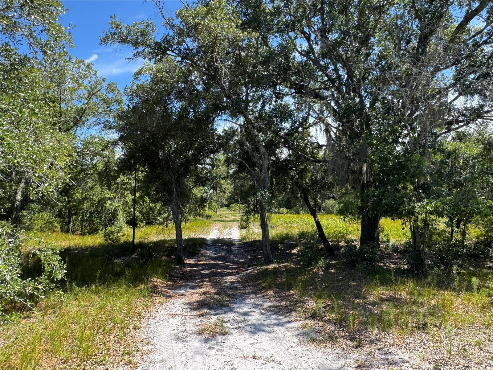 Image 7 of 30 For 5525 Sparta Road