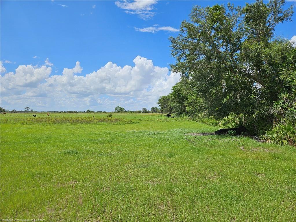 Details for 1000 Cattle Ranch Road, VENUS, FL 33960