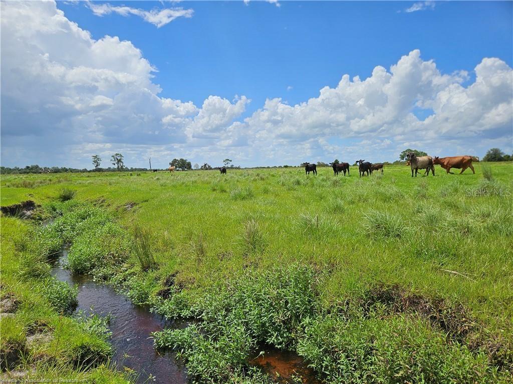 Image 6 of 8 For 1000 Cattle Ranch Road