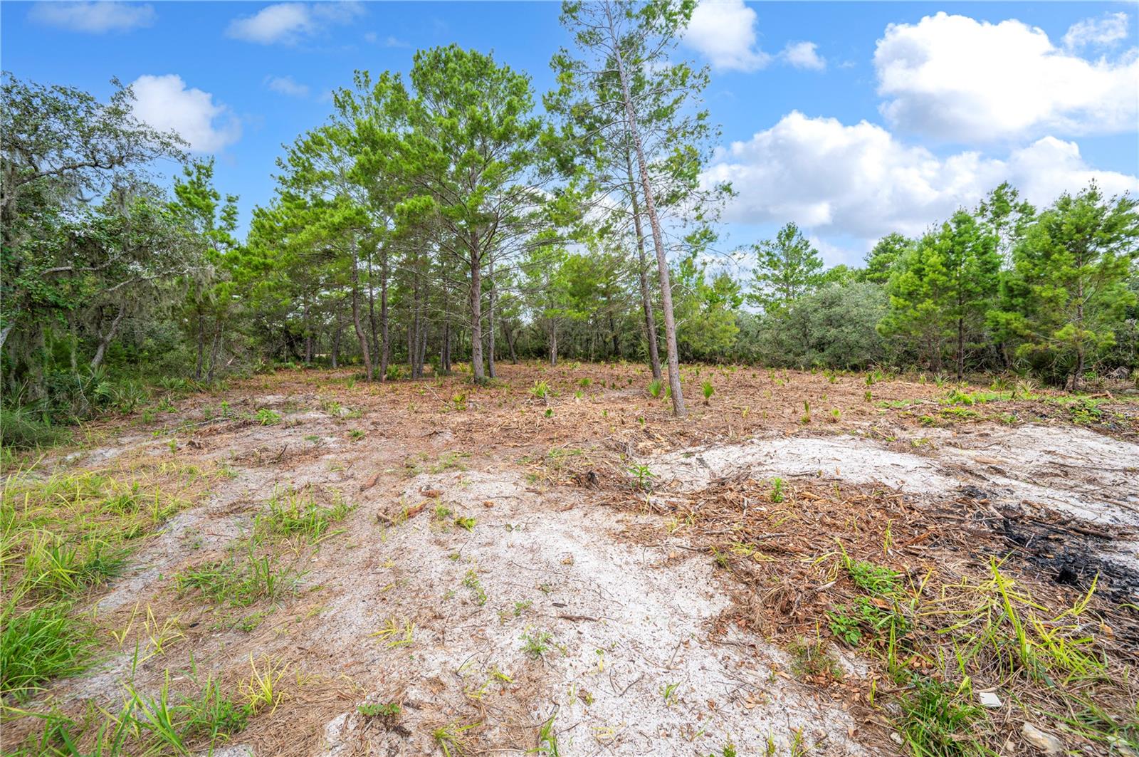 Image 30 of 33 For 137 Woodstork Way