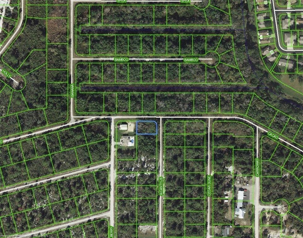 Listing Details for 1218 Ailanthus Street, LAKE PLACID, FL 33852