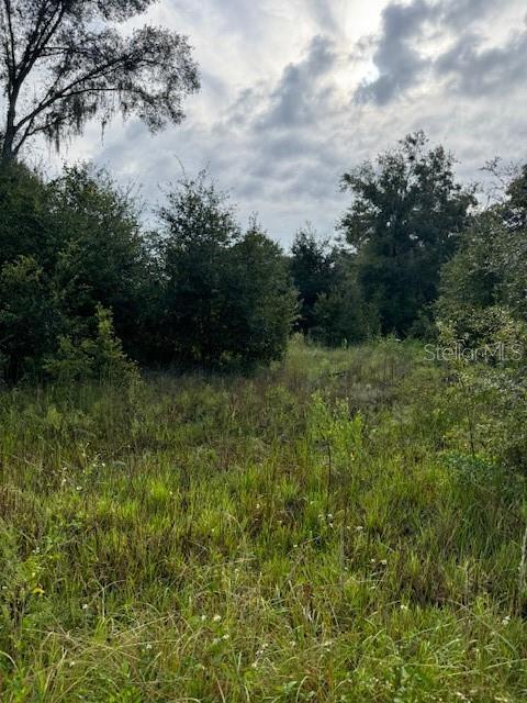 Details for Sportsman Trail, LAKELAND, FL 33809