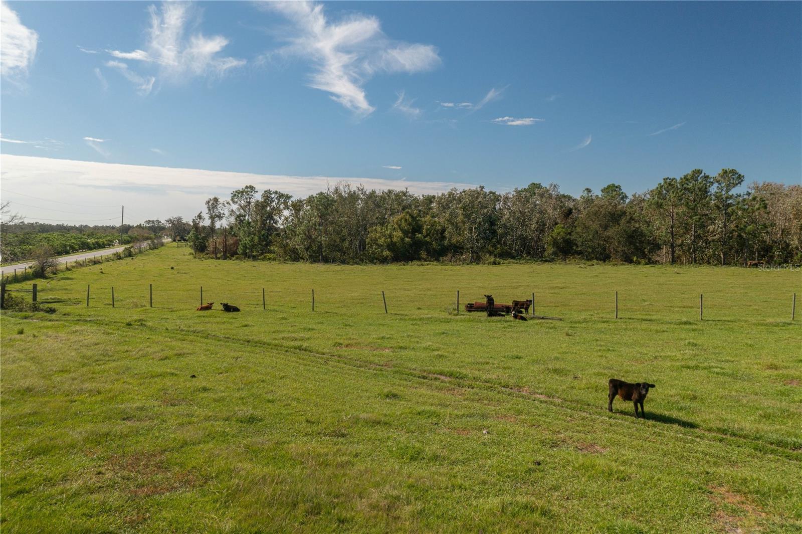 Image 6 of 19 For Gabriel Road