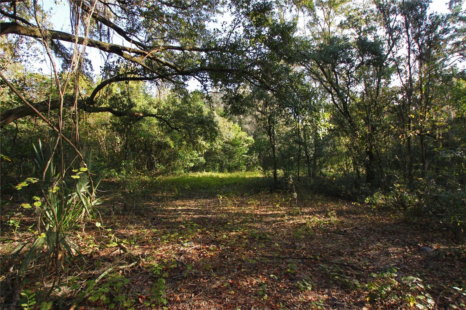 Image 8 of 59 For 0 Patricia Drive