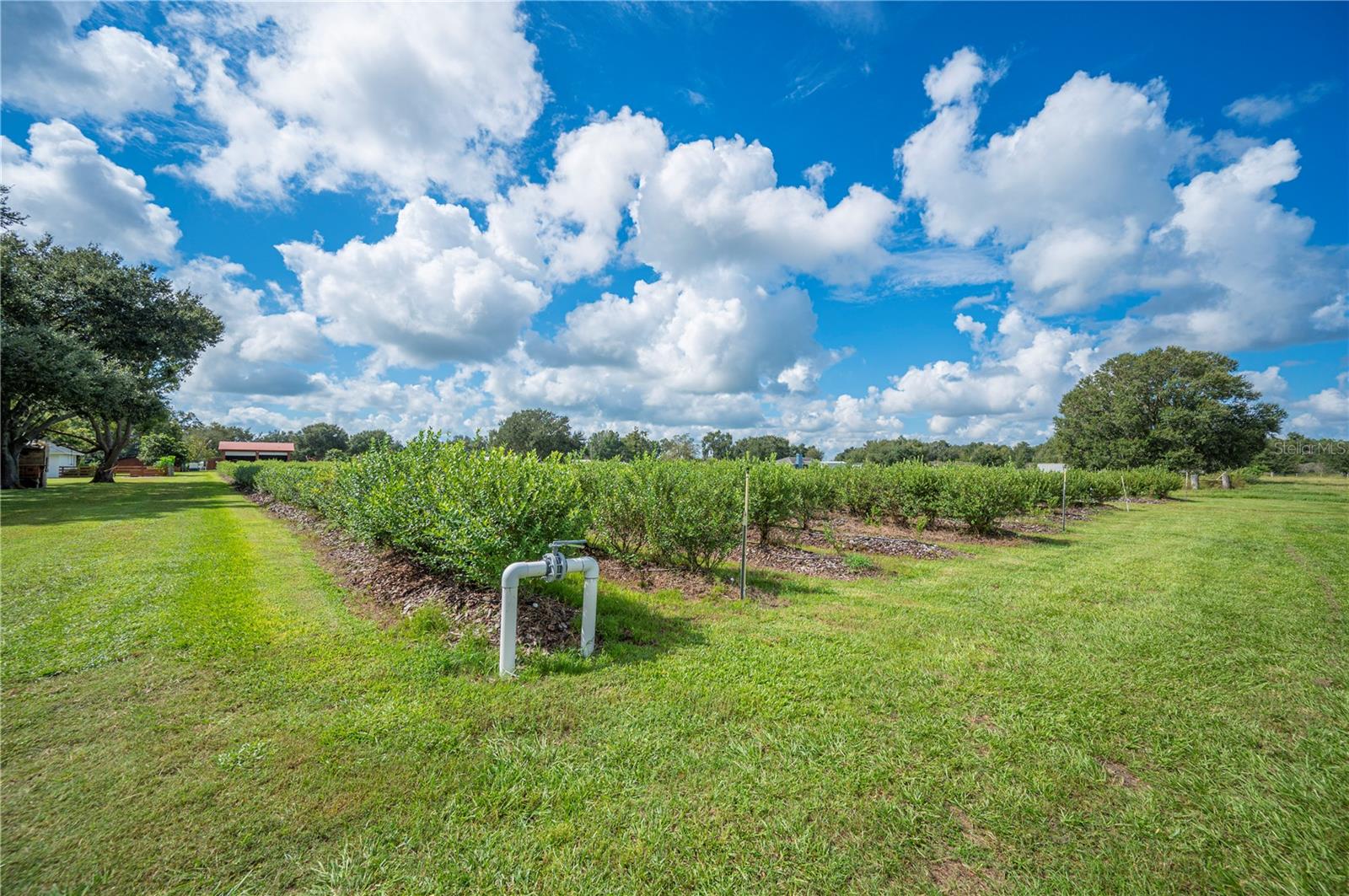 Image 89 of 100 For 6155 Bethlehem Road