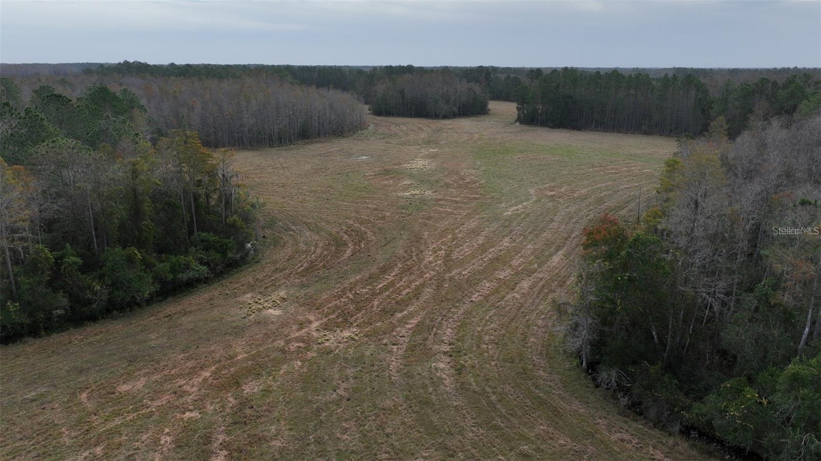 Image 8 of 18 For Berry Groves Rd Drive