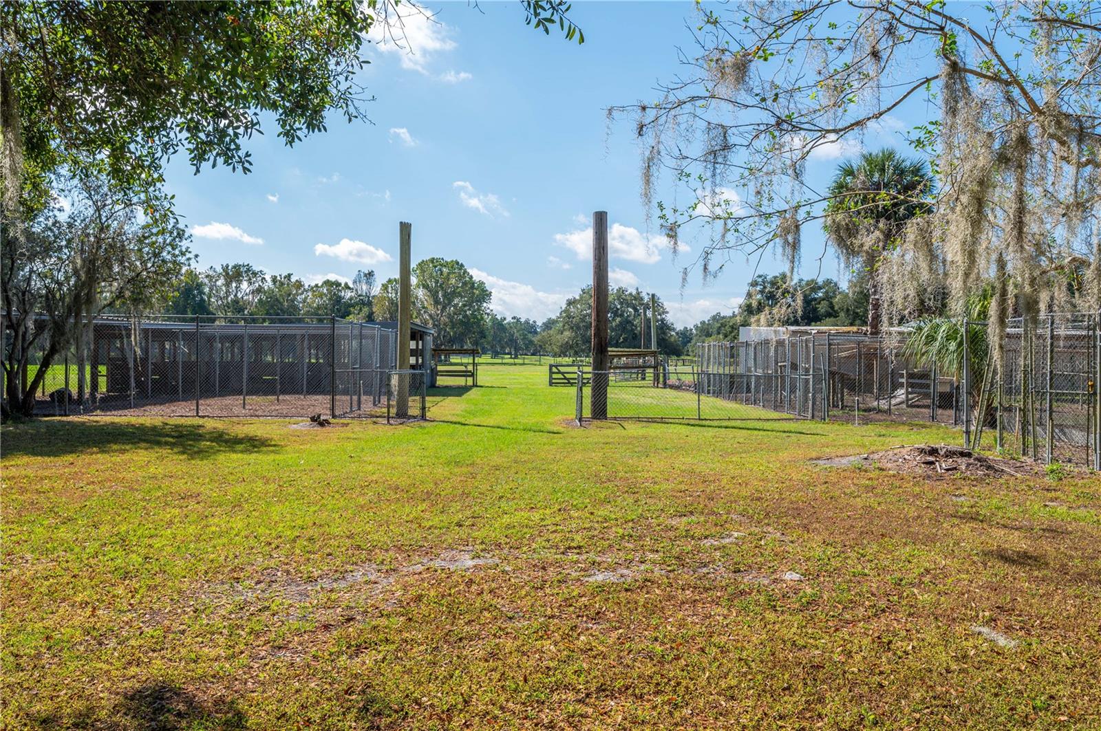 Listing photo id 49 for 4911 Sam Allen Road