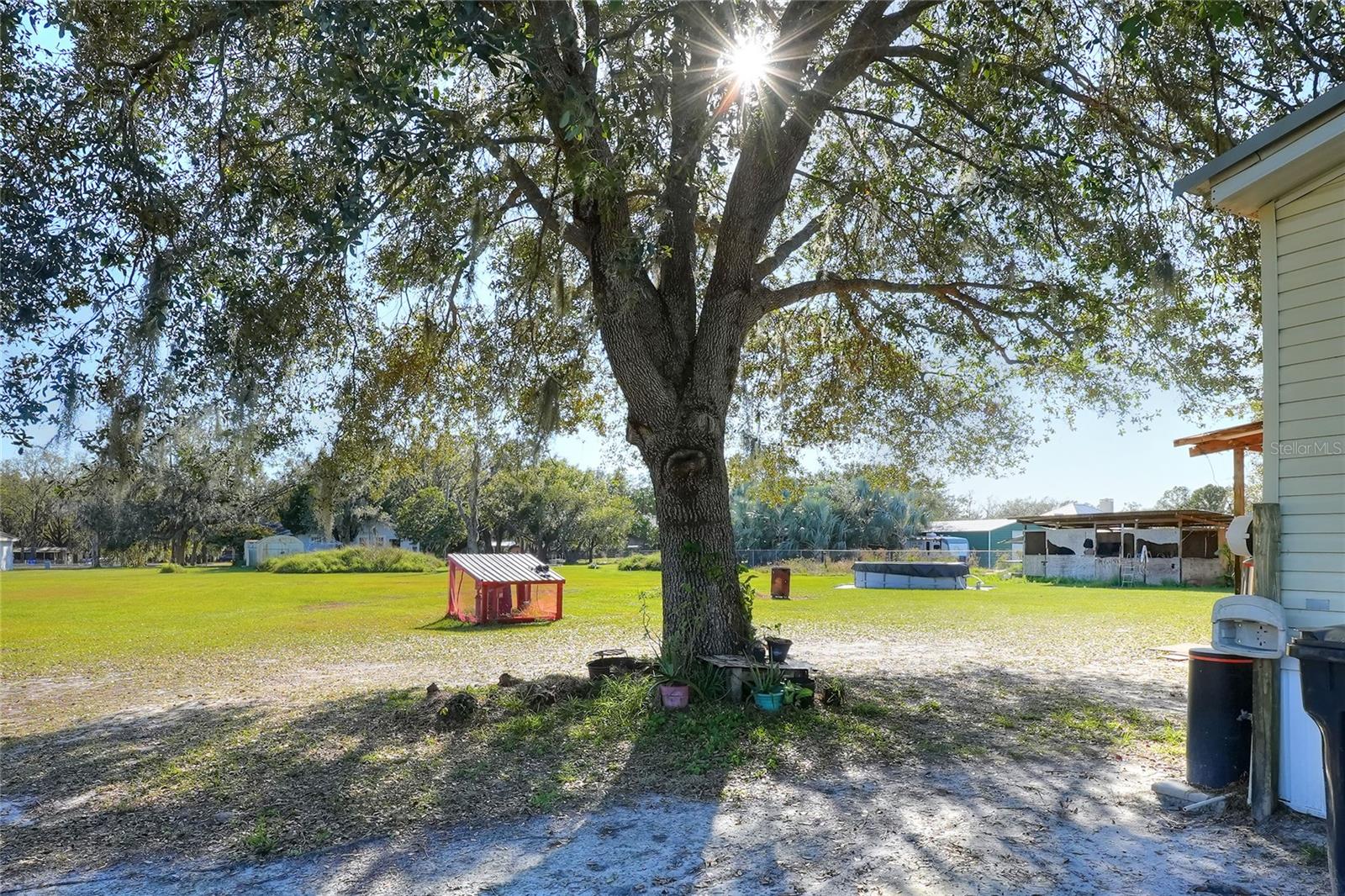 Listing photo id 31 for 3605 Citrus Tree Court