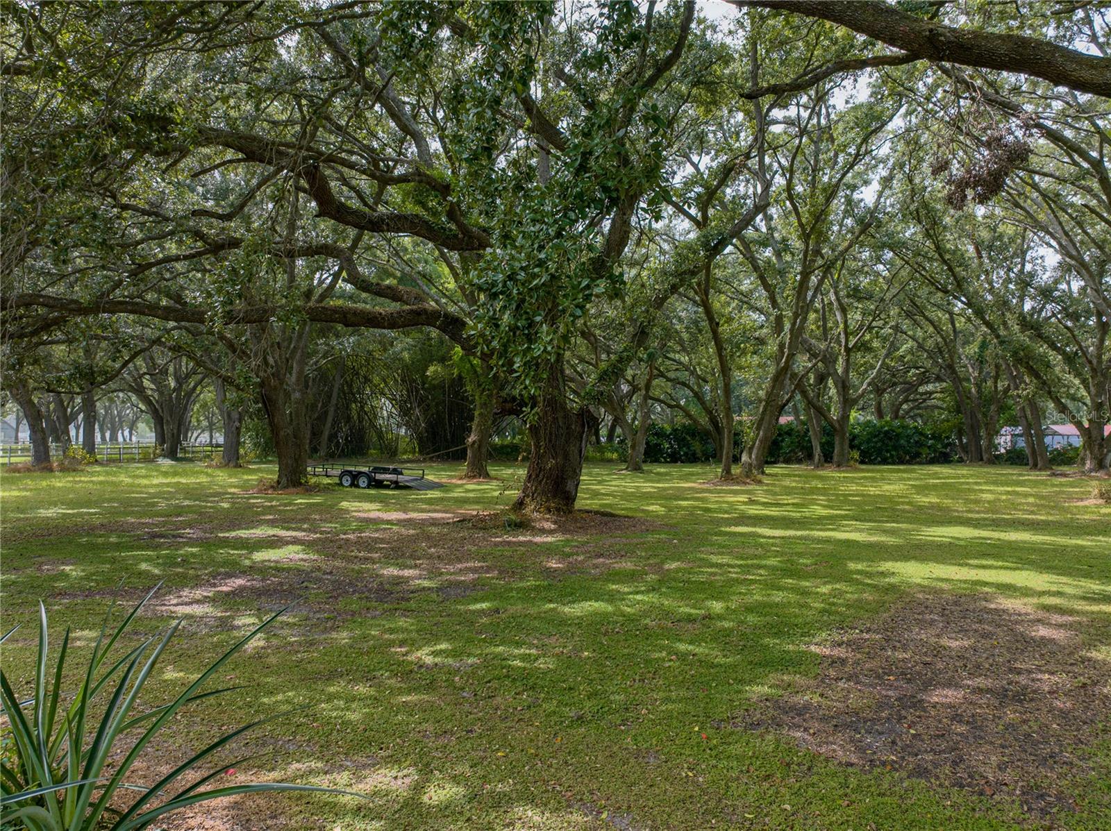 Image 34 of 39 For Address Not Provided