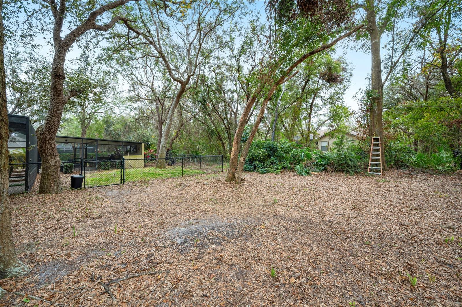 Listing photo id 73 for 6011 Hammock Hill Avenue