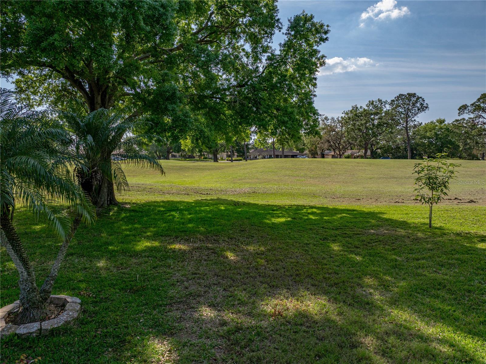 Image 82 of 91 For 121 Greenfield Road