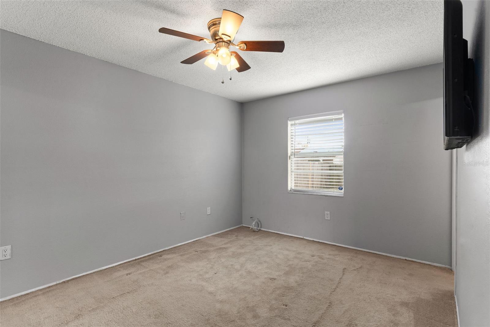 Image 15 of 30 For 227 Dorothy Street