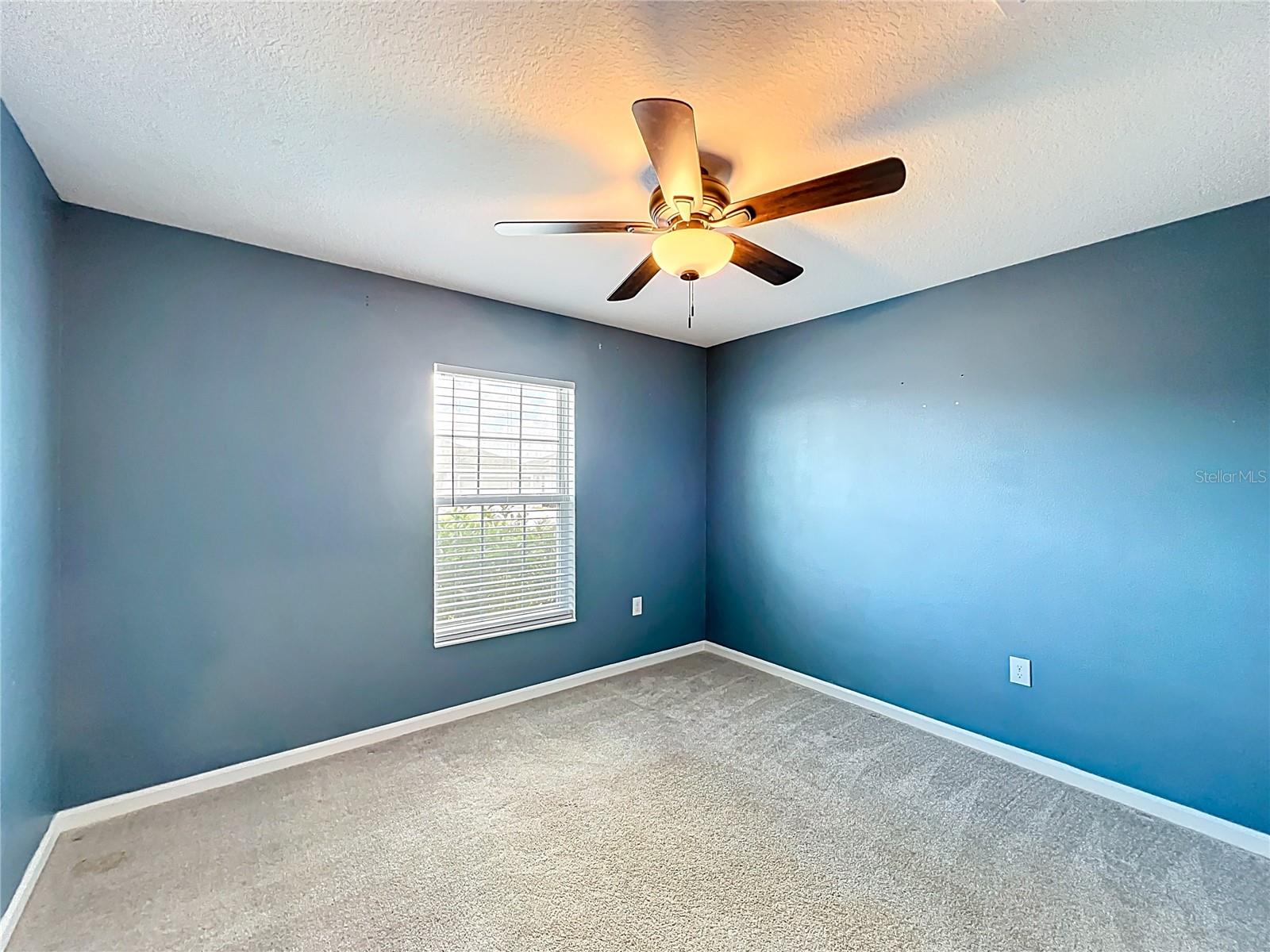 Image 16 of 45 For 3815 Whitney Way