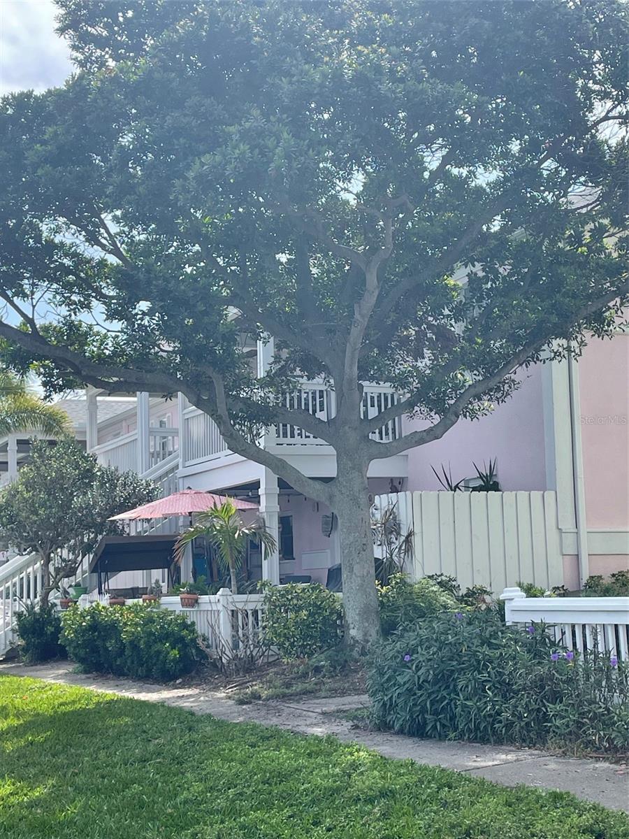 Image 19 of 36 For 247 Pompano Drive Se A