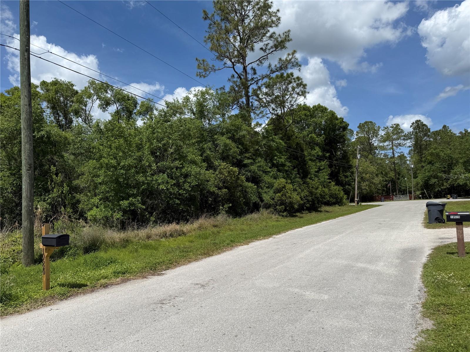 Image 6 of 7 For 10528 Smokie Creek Lane