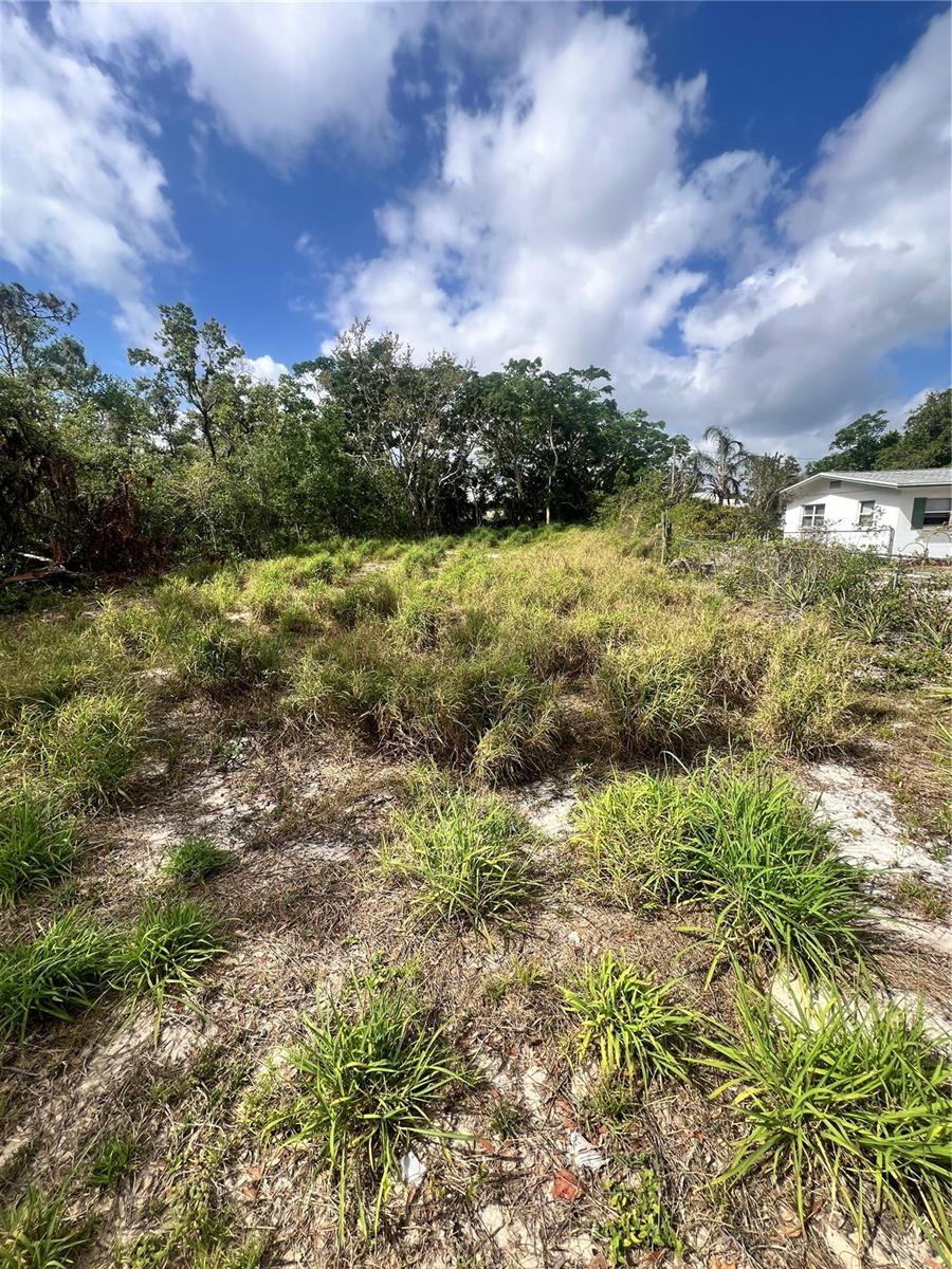 Listing Details for Carson Avenue, BABSON PARK, FL 33827