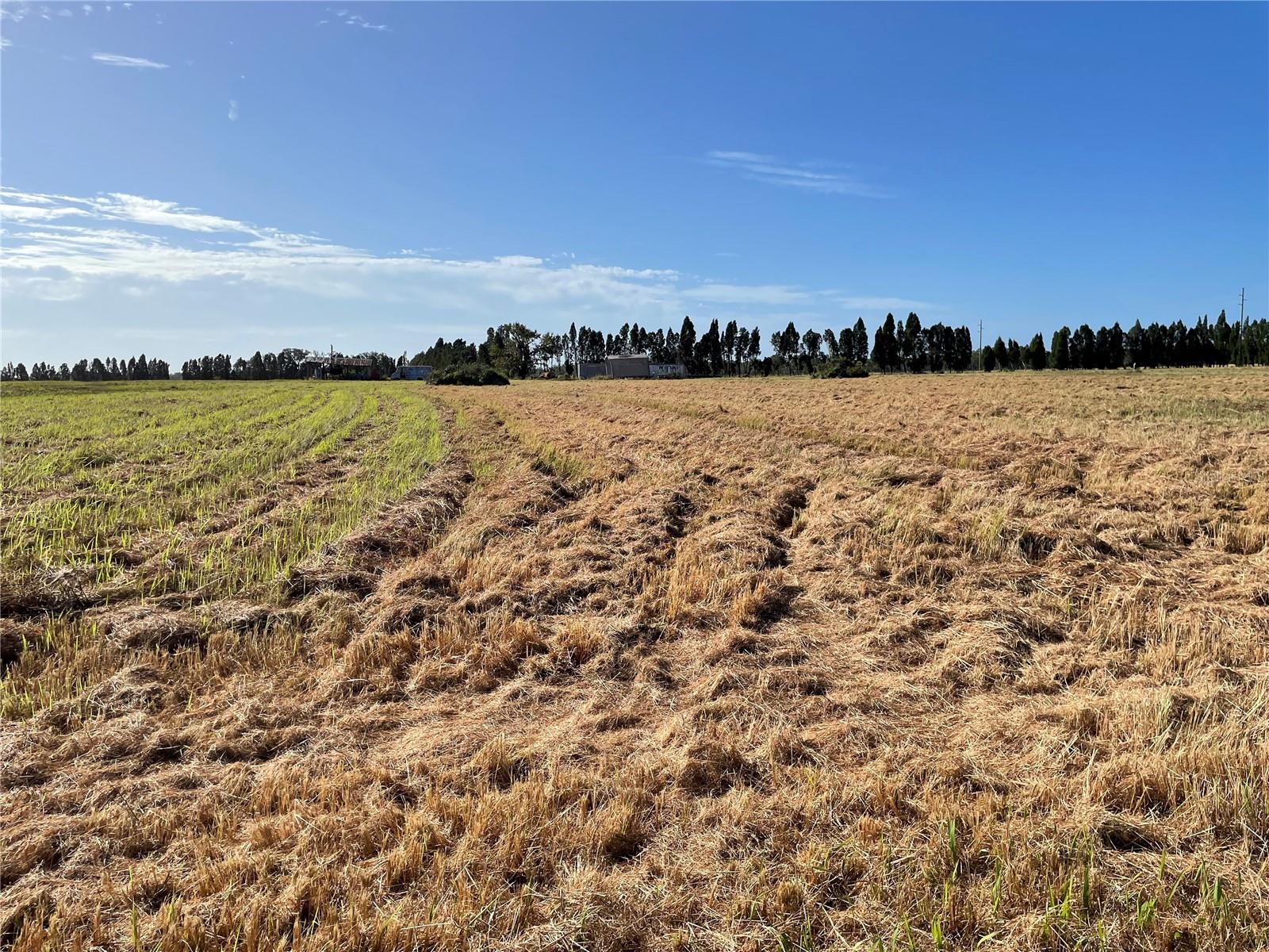 Listing photo id 95 for 701 60 Highway